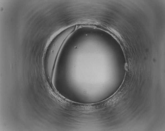 X0000067521120200604071314