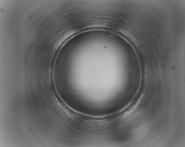 X0000067521121200604071314