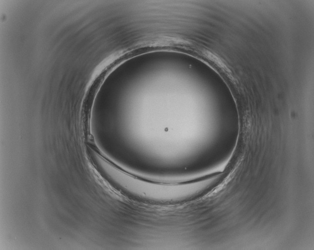 X0000067521122200604071314