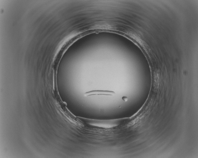 X0000067521123200604071314