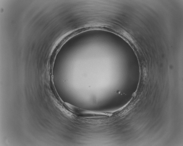 X0000067521124200604071314