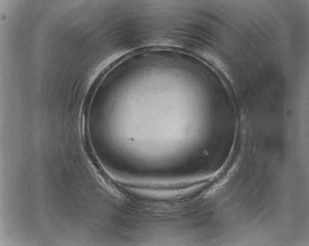 X0000067521125200604071314