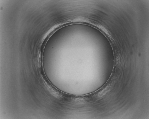 X0000067521126200604071314