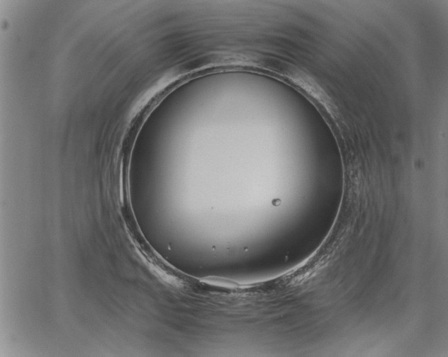 X0000067521127200604071314