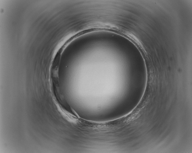 X0000067521128200604071314