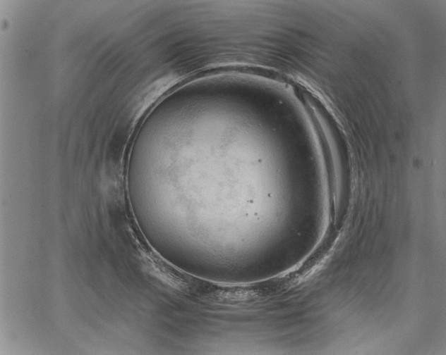 X0000067521129200604071314