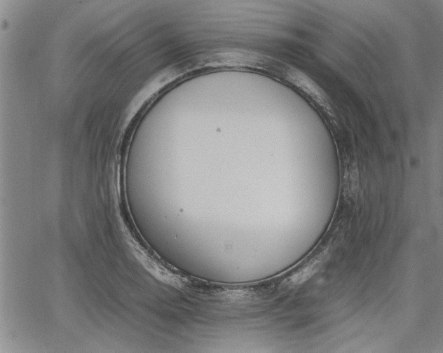 X0000067521130200604071314