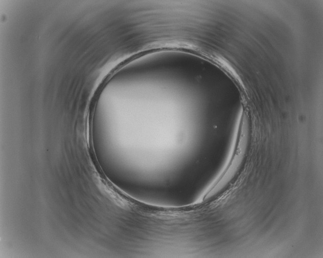 X0000067521132200604071314