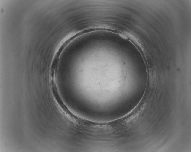 X0000067521133200604071314