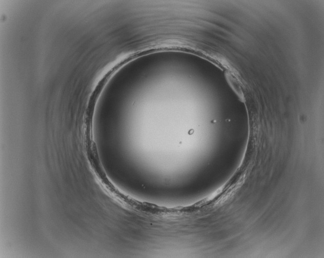 X0000067521134200604071315