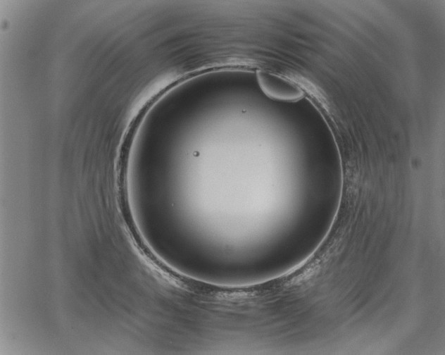 X0000067521135200604071315