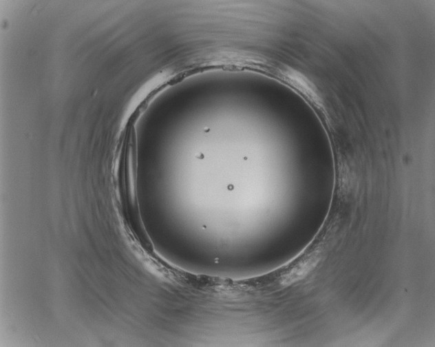 X0000067521138200604071315