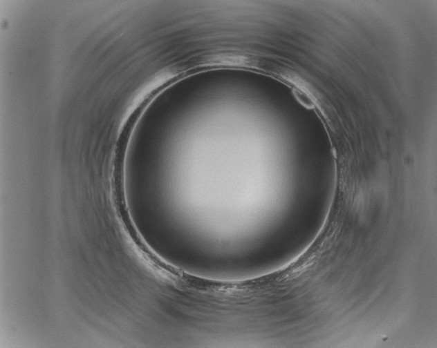 X0000067521139200604071315