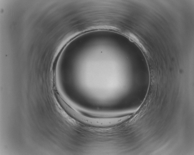 X0000067521140200604071315