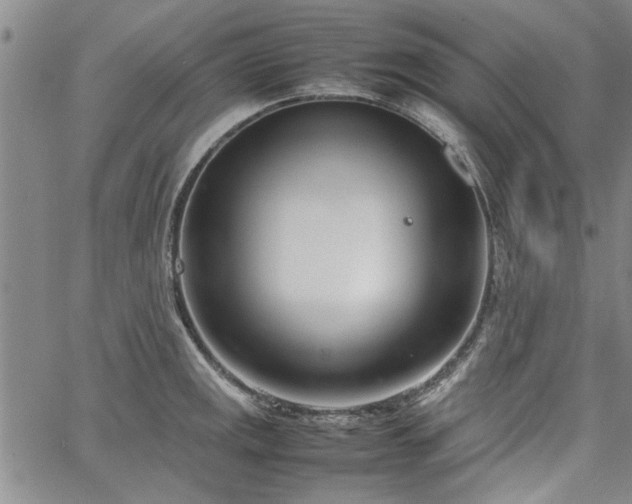 X0000067521141200604071315