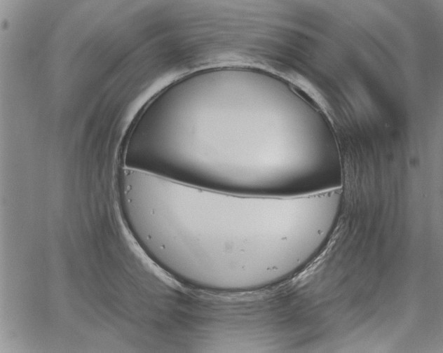 X0000067521142200604071315