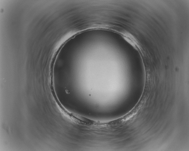 X0000067521143200604071315