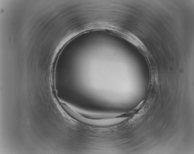 X0000067521144200604071315