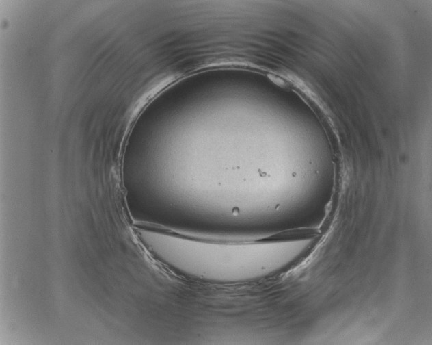 X0000067521145200604071315