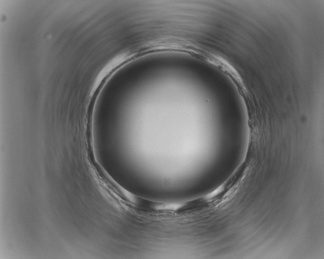 X0000067521146200604071315