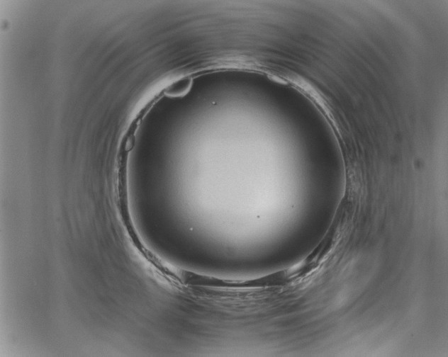 X0000067521147200604071315