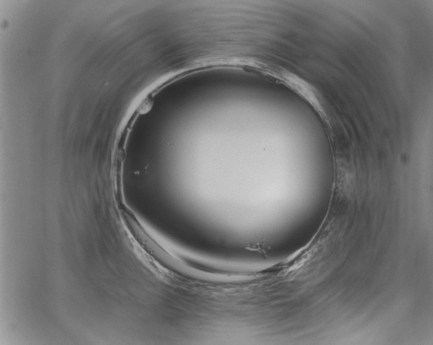 X0000067521148200604071315