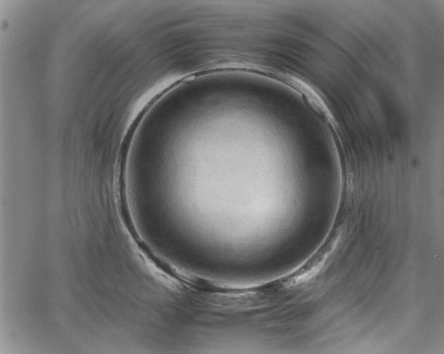 X0000067521149200604071315