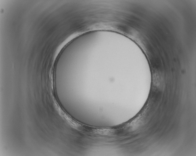 X0000067521150200604071315