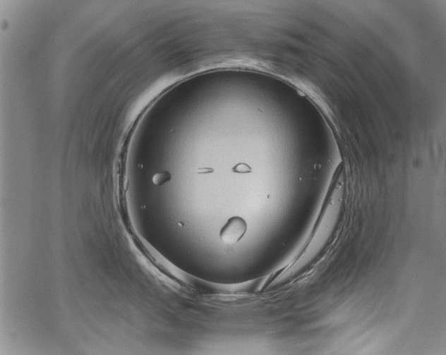 X0000067521151200604071315