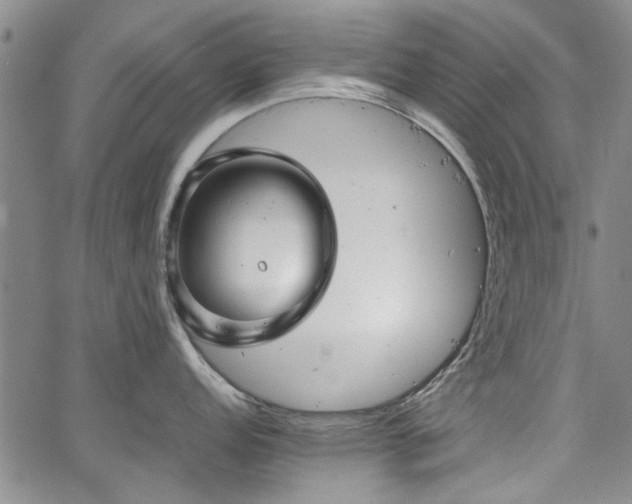 X0000067521152200604071315