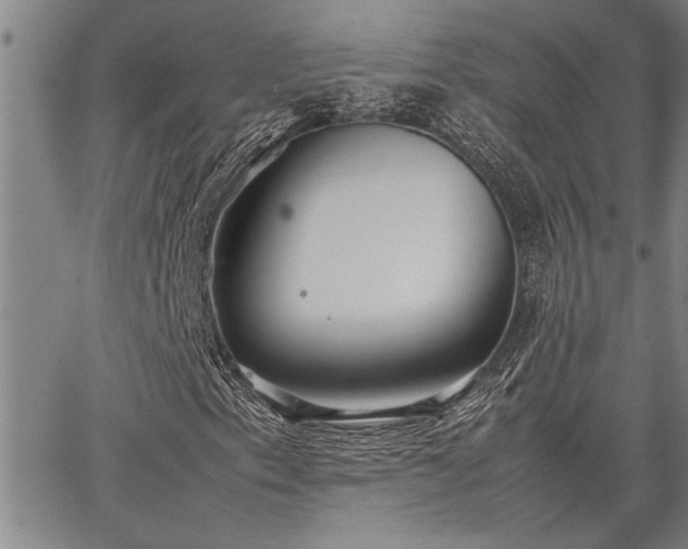 X0000067521153200604071314