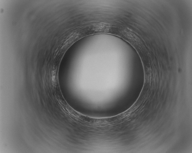 X0000067521154200604071314