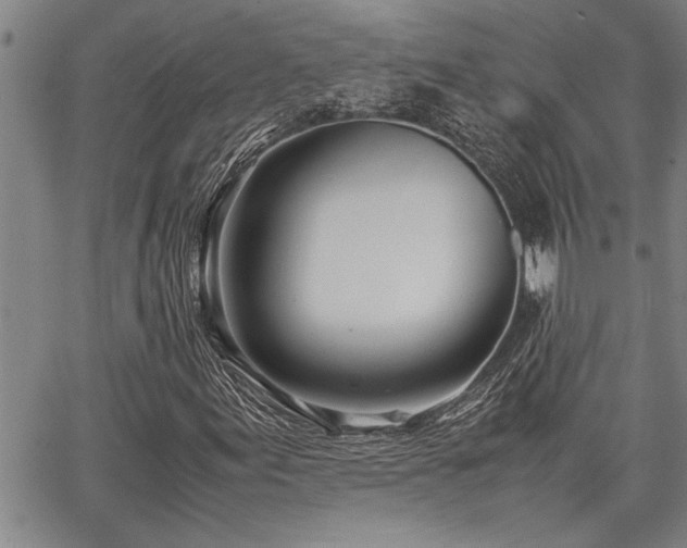 X0000067521155200604071314