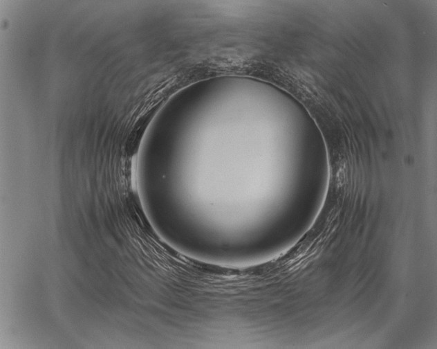 X0000067521156200604071314