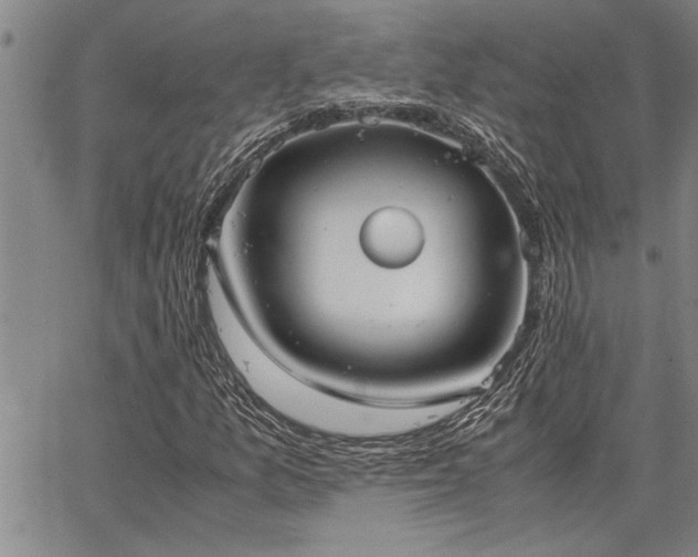 X0000067521157200604071314