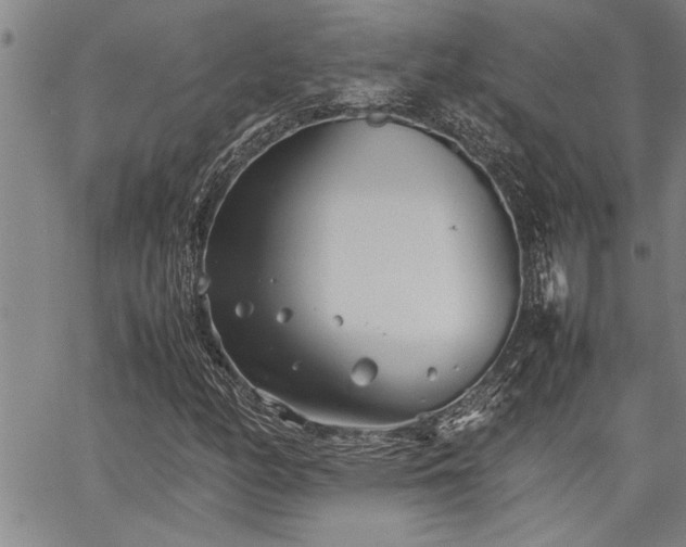 X0000067521158200604071314