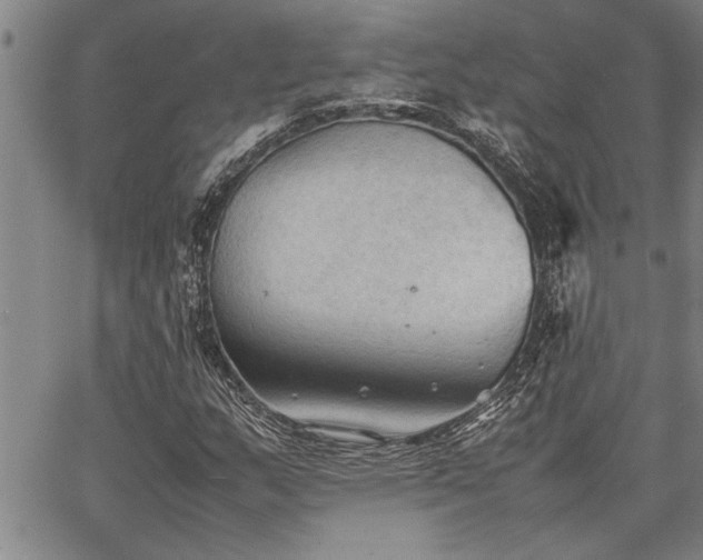 X0000067521159200604071314