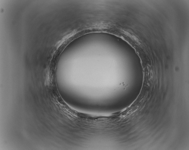 X0000067521160200604071314