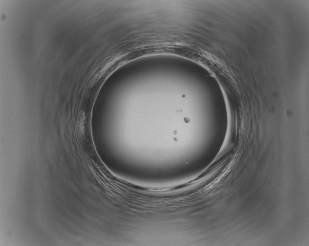 X0000067521161200604071314