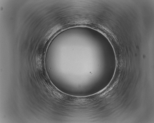 X0000067521162200604071314