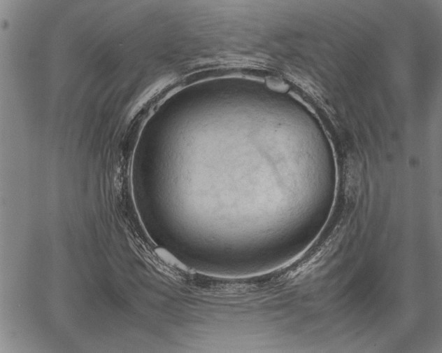 X0000067521163200604071314