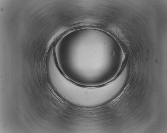 X0000067521164200604071314