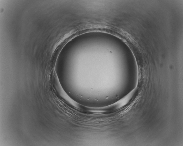 X0000067521165200604071314