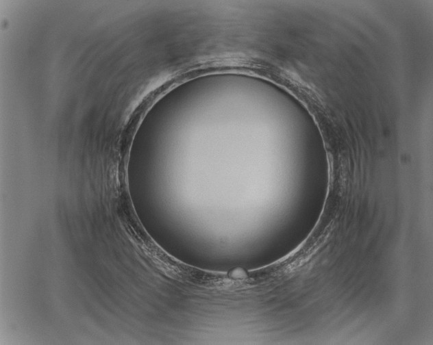 X0000067521166200604071314