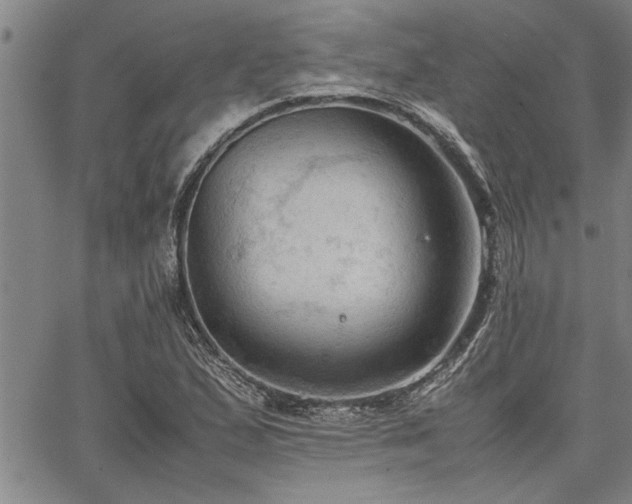 X0000067521167200604071314