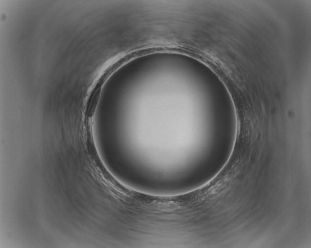 X0000067521168200604071314