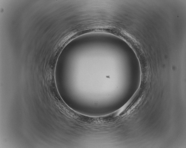 X0000067521169200604071314