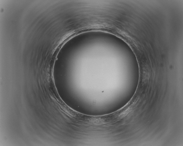 X0000067521170200604071314