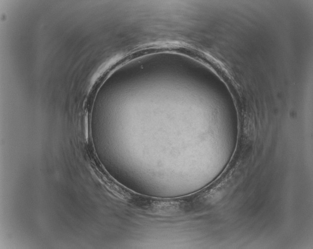 X0000067521171200604071314