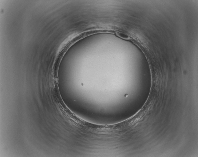 X0000067521172200604071314